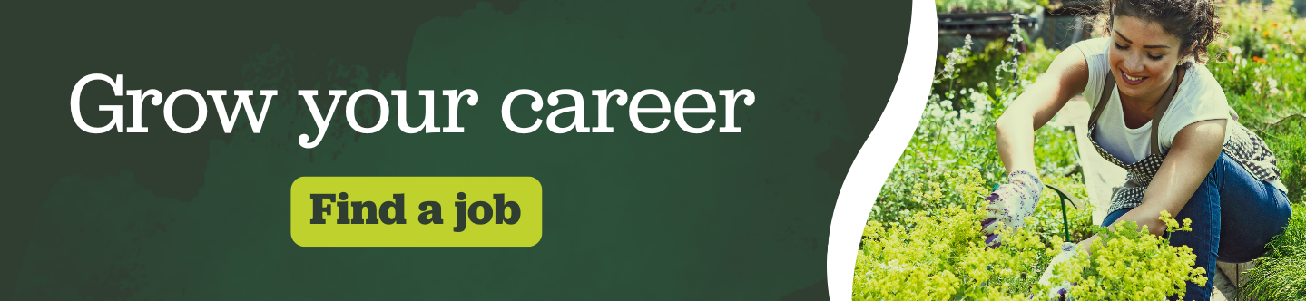 FInd a job